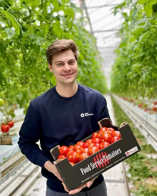 Jens Peeters holding a crate of tomatoes in the greenhouse